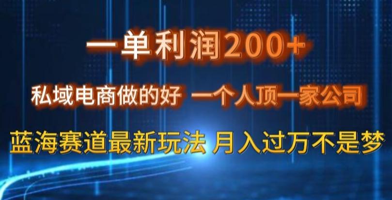 一单利润200私域电商做的好，一个人顶一家公司蓝海赛道最新玩法【揭秘】-轻创星球网