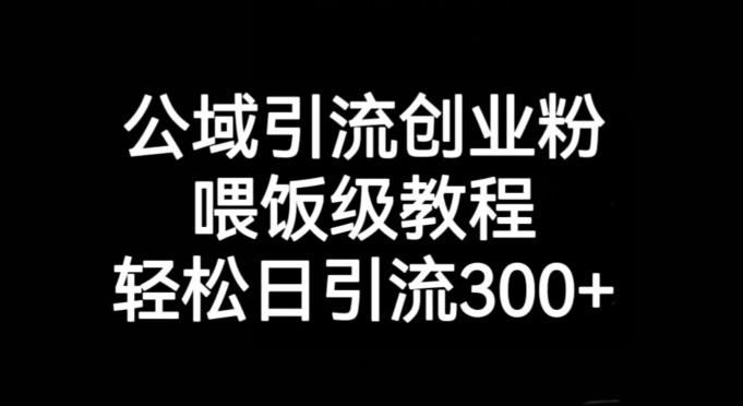 公域引流创业粉，喂饭级教程，轻松日引流300+【揭秘】-轻创星球网