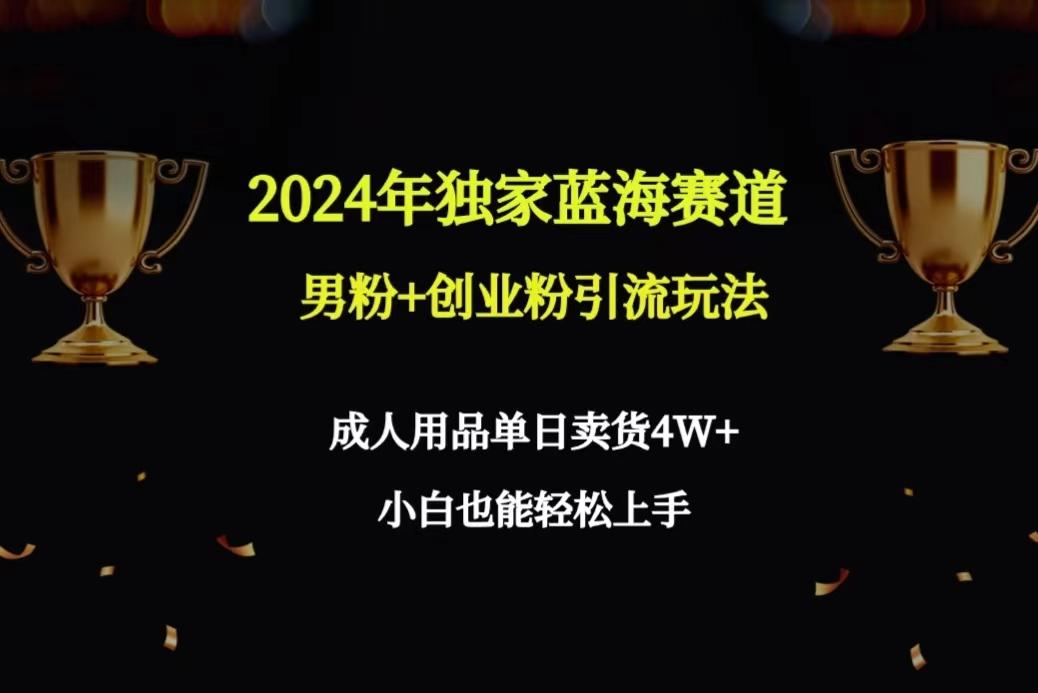 2024年独家蓝海赛道男粉+创业粉引流玩法，成人用品单日卖货4W+保姆教程-轻创星球网