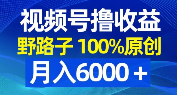 视频号野路子撸收益,100%原创,条条爆款,月入6000+【揭秘】-轻创星球网