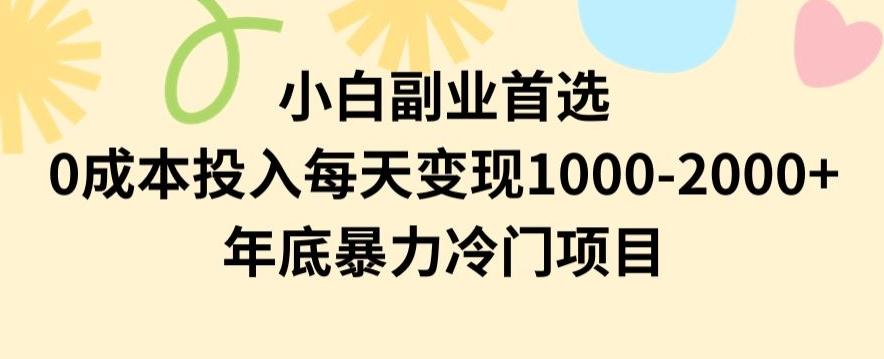 小白副业首选，0成本投入，每天变现1000-2000年底暴力冷门项目【揭秘】-轻创星球网