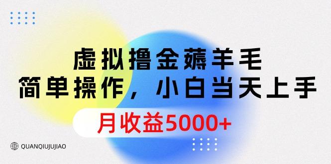 (9864期)虚拟撸金薅羊毛,简单操作,小白当天上手,月收益5000+-轻创星球网