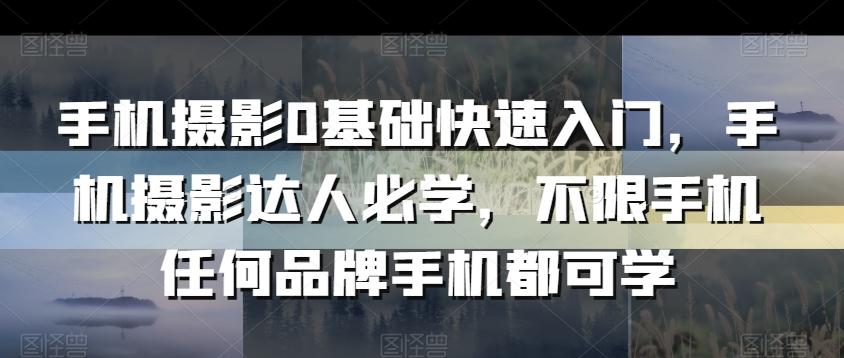 手机摄影0基础快速入门，手机摄影达人必学，不限手机任何品牌手机都可学-轻创星球网