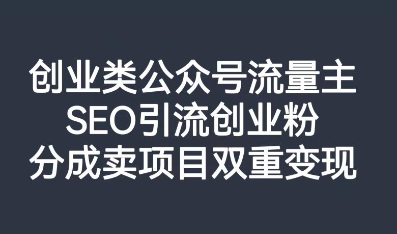 创业类公众号流量主，SEO引流创业粉，分成卖项目双重变现【揭秘】-轻创星球网