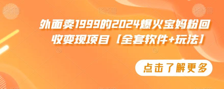 外面卖1999的2024爆火宝妈粉回收变现项目【全套软件+玩法】【揭秘】-轻创星球网