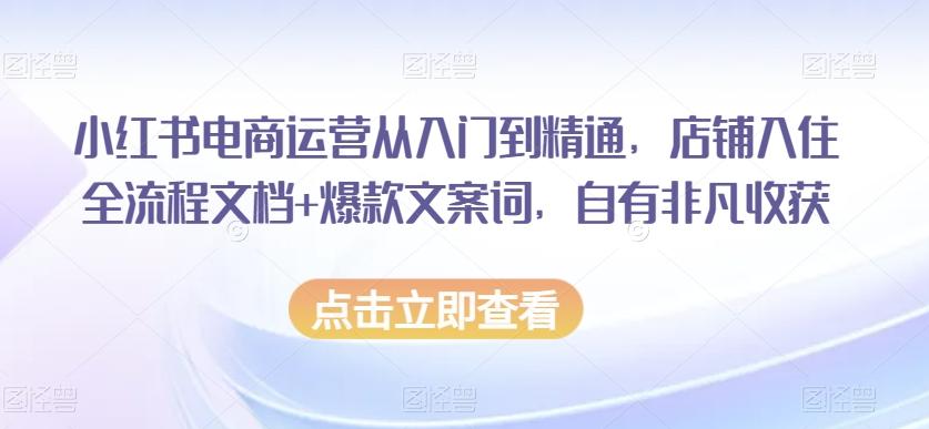 小红书电商运营从入门到精通，店铺入住全流程文档+爆款文案词，自有非凡收获-轻创星球网