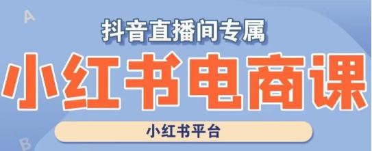 小红书电商高级运营课程,实操教学+案例分析-轻创星球网