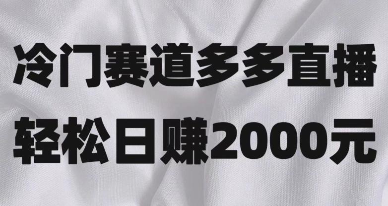 冷门赛道拼多多直播，简单念稿子，日收益2000＋【揭秘】-轻创星球网