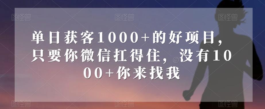 单日获客1000+的好项目，只要你微信扛得住，没有1000+你来找我【揭秘】-轻创星球网