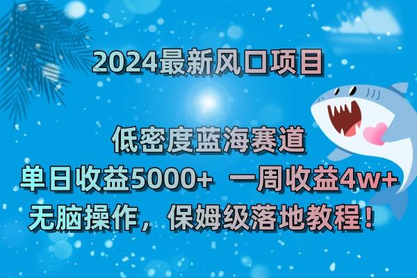 (8545期)2024最新风口项目 低密度蓝海赛道，日收益5000+周收益4w+ 无脑操作，保…-轻创星球网