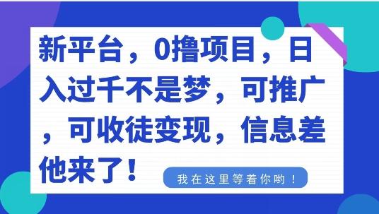 不要再花冤枉钱了,0撸项目,每天坚持,稳定1000+-轻创星球网