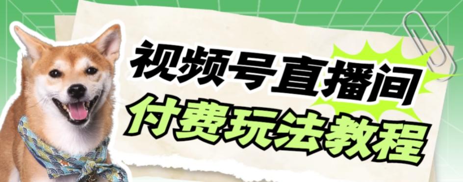 视频号美女付费无人直播，轻松日入500+【详细玩法教程】-轻创星球网
