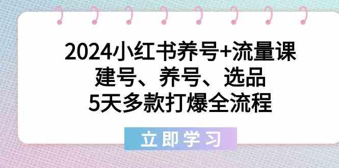 2024小红书养号+流量课：建号、养号、选品，5天多款打爆全流程-轻创星球网
