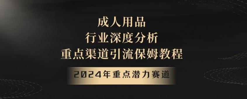 2024年重点潜力赛道，成人用品行业深度分析，重点渠道引流保姆教程【揭秘】-轻创星球网