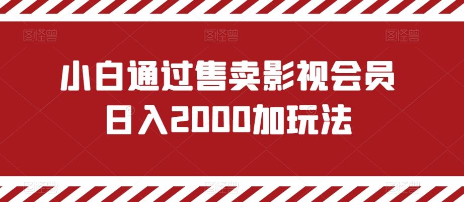 小白通过售卖影视会员日入2000加玩法-轻创星球网