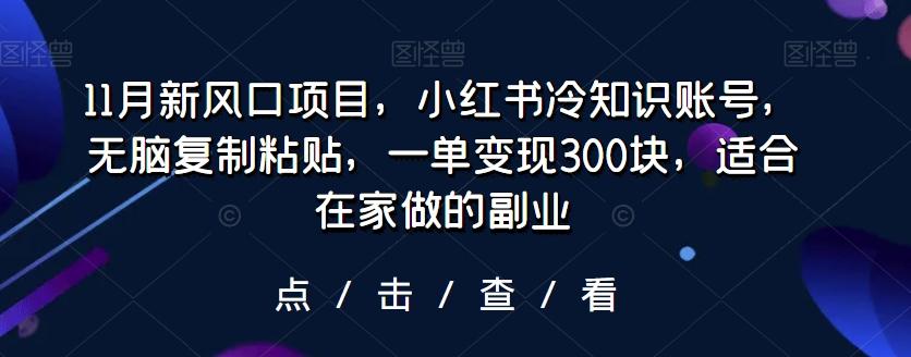 11月新风口项目，小红书冷知识账号，无脑复制粘贴，一单变现300块，适合在家做的副业-轻创星球网
