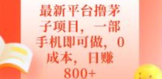 最新平台撸茅子项目,一部手机即可做,0成本,日赚800+-轻创星球网