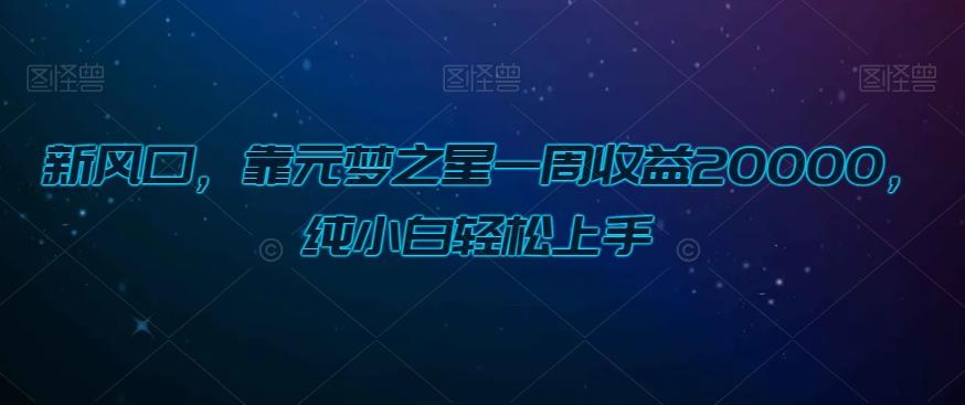 新风口，靠元梦之星一周收益20000，纯小白轻松上手-轻创星球网