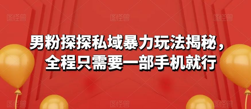 男粉探探私域暴力玩法揭秘，全程只需要一部手机就行-轻创星球网