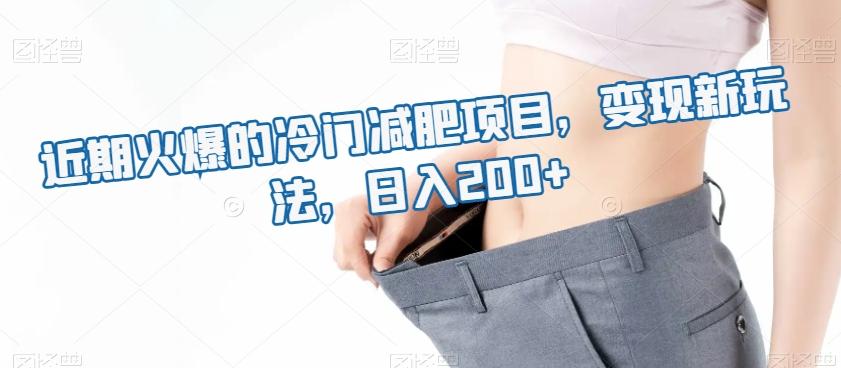 近期火爆的冷门减肥项目，变现新玩法，日入200+-轻创星球网