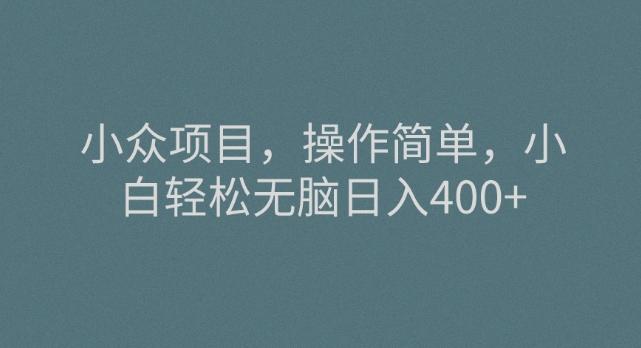 小众项目，操作简单，小白轻松无脑日入400+-轻创星球网