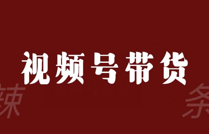 视频号带货联盟，赚信息差的带货钱，只需手机随时随地都可以做！-轻创星球网