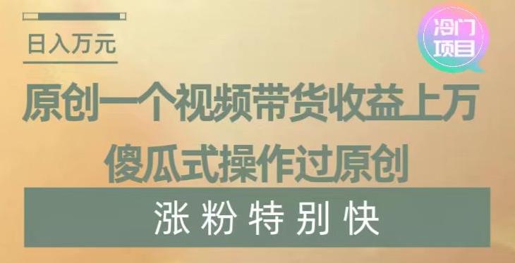 原创一个视频带货收益上万，傻瓜式操作过原创，几分钟做一个视频涨粉特别快【揭秘】-轻创星球网