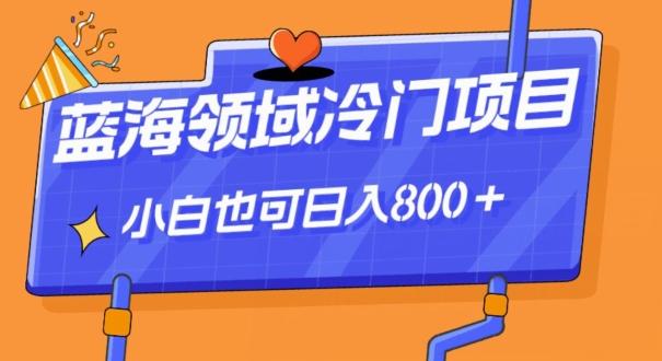 蓝海领域冷门赛道，一单39.9，日入800＋-轻创星球网