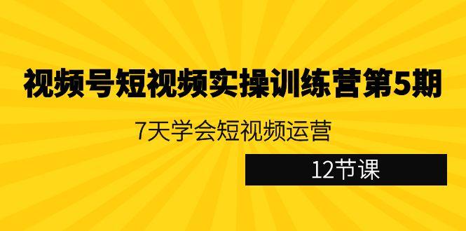 视频号短视频实操训练营第5期：7天学会短视频运营(12节课)-轻创星球网
