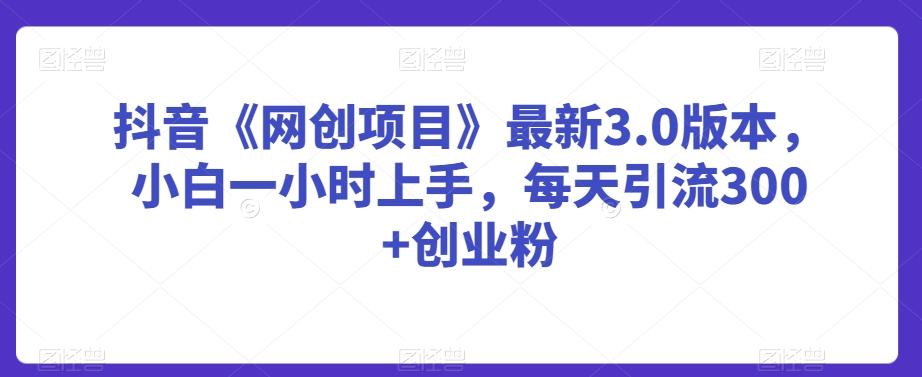 抖音《网创项目》最新3.0版本，小白一小时上手，每天引流300+创业粉【揭秘】-轻创星球网