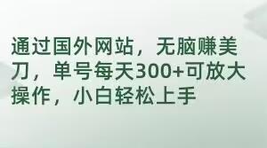 通过国外网站，无脑赚美刀，单号每天300+可放大操作，小白轻松上手【揭秘】-轻创星球网