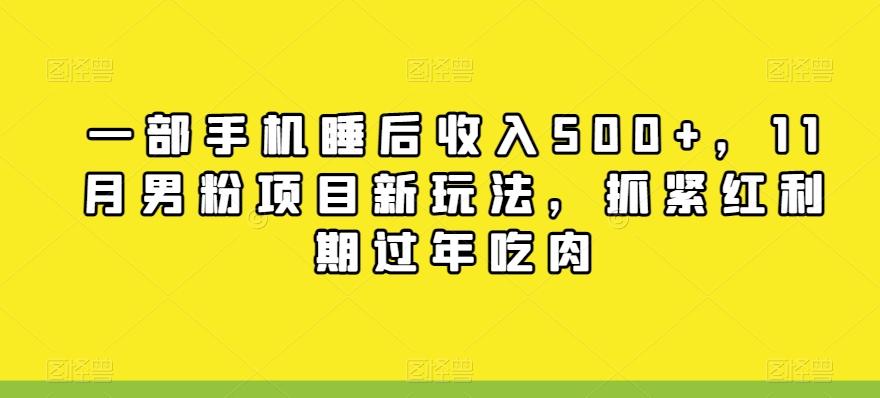 一部手机睡后收入500+，11月男粉项目新玩法，抓紧红利期过年吃肉-轻创星球网