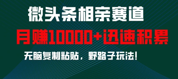 微头条相亲赛道,迅速积累,无脑复制粘贴,野路子玩法,月入1w-轻创星球网