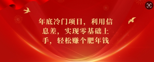 年底冷门项目，利用信息差，实现零基础上手，轻松赚个肥年钱【揭秘】-轻创星球网