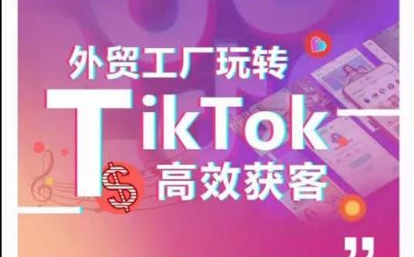 外贸工厂玩转TikTok高效获客，多种引流方式与账号定位技巧，拆解爆款短视频打造成功案例-轻创星球网