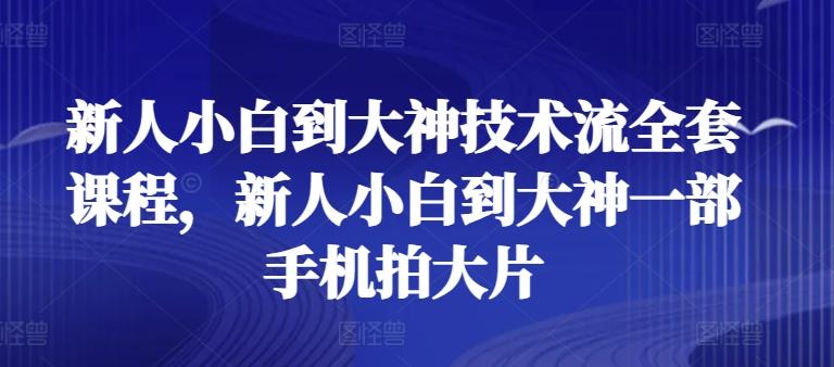 新人小白到大神技术流全套课程，新人小白到大神一部手机拍大片-轻创星球网