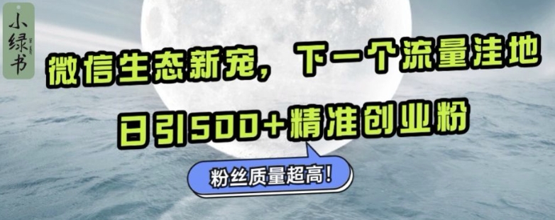 微信生态新宠小绿书:下一个流量洼地,日引500+精准创业粉,粉丝质量超高-轻创星球网