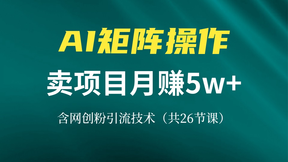 网创IP打造课，借助AI卖项目月赚5万+，含引流技术(共26节课-轻创星球网