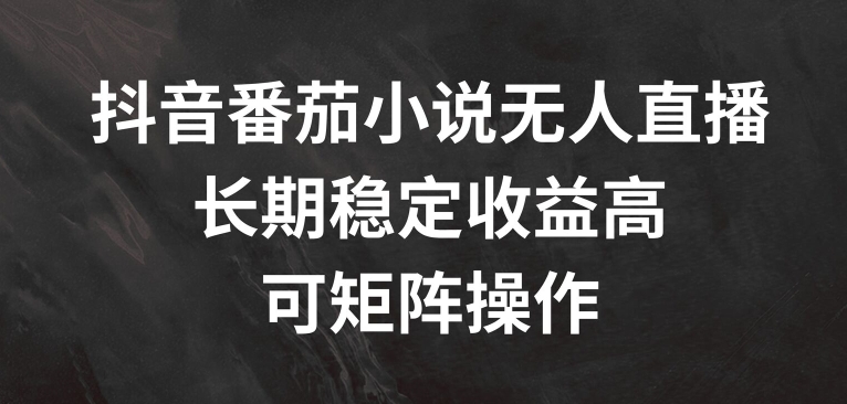 抖音番茄小说无人直播,长期稳定收益高,可矩阵操作【揭秘】-轻创星球网