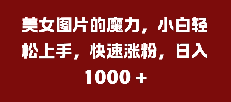 美女图片的魔力,小白轻松上手,快速涨粉,日入几张【揭秘】
