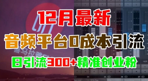 12月最新：音频平台0成本引流，日引流300+精准创业粉-轻创星球网