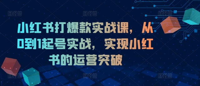 小红书打爆款实战课，从0到1起号实战，实现小红书的运营突破-轻创星球网