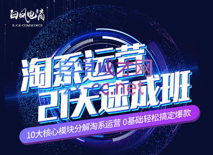 淘系运营21天速成班(更新7月)-轻创星球网
