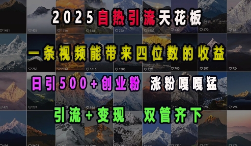 2025自热引流天花板，一条视频能带来四位数的收益，引流+变现双管齐下，日引500+创业粉，涨粉嘎嘎猛-轻创星球网