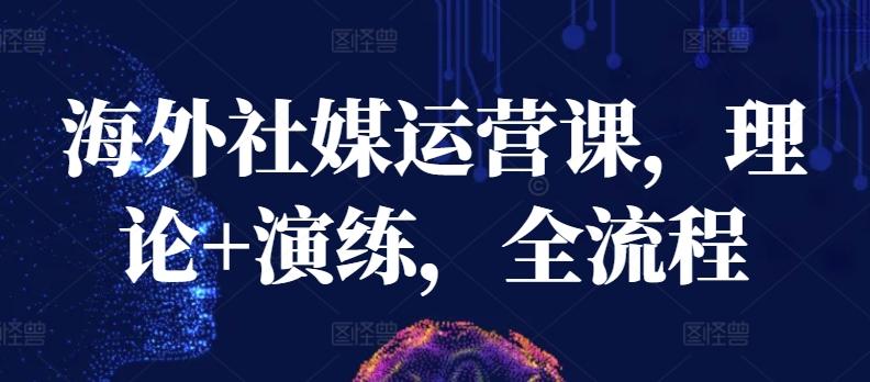 海外社媒运营课，理论+演练，全流程-轻创星球网
