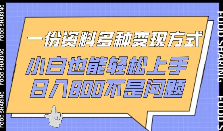 一份资料多种变现方式，小白也能轻松上手，日入800不是问题【揭秘】-轻创星球网