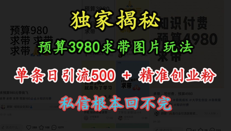 预算3980求带 图片玩法,单条日引流500+精准创业粉,私信根本回不完-轻创星球网