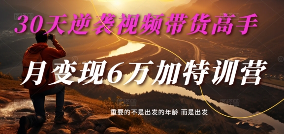 30天逆袭视频带货高手，单月变现6万加特训营-麦子甜-轻创星球网