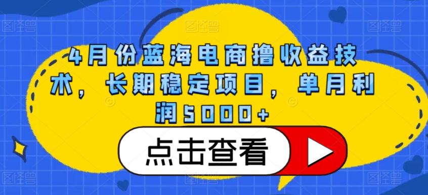 4月份蓝海电商撸收益技术，长期稳定项目，单月利润5000+【揭秘】-轻创星球网