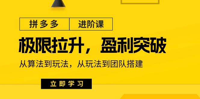 拼多多·进阶课：极限拉升/盈利突破：从算法到玩法 从玩法到团队搭建-18节-轻创星球网